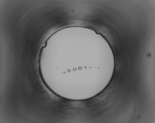 X0000100751479200807171359