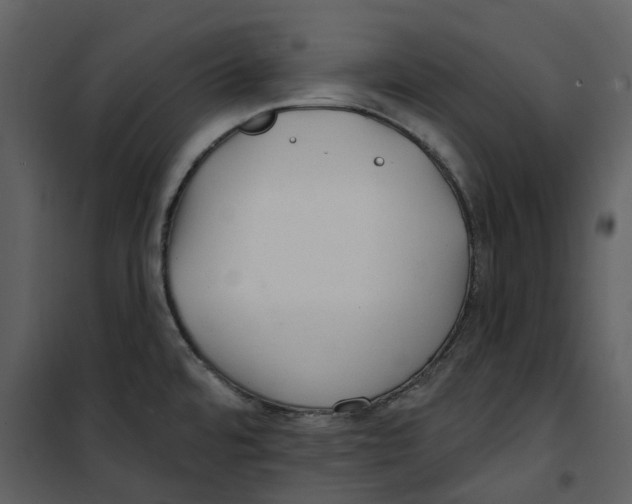 X0000100751480200807171359