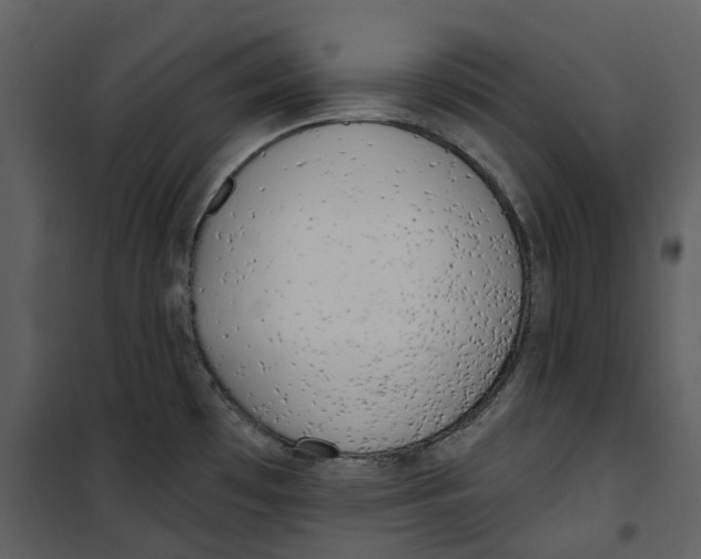 X0000100751481200807171359