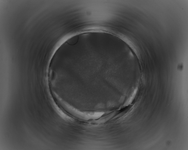 X0000100751482200807171359