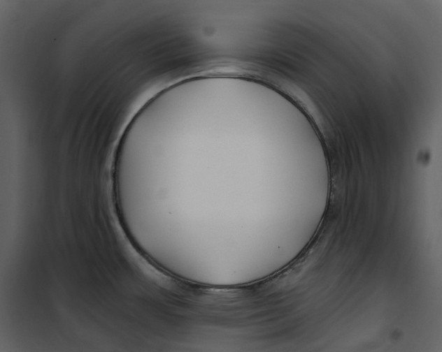 X0000100751483200807171359