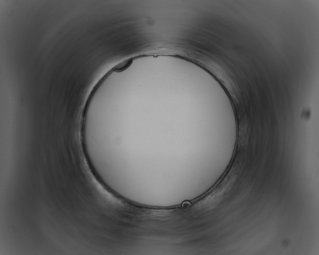 X0000100751484200807171359