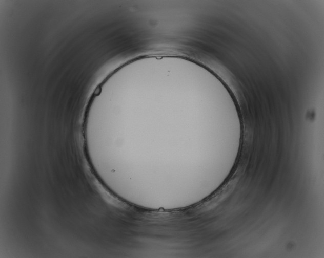 X0000100751485200807171359