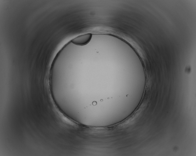 X0000100751486200807171359