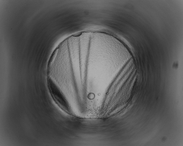 X0000100751487200807171359