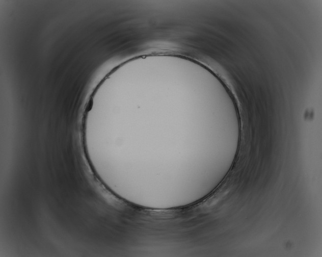 X0000100751488200807171359