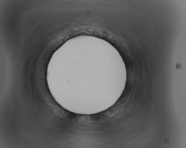 X0000100751489200807171358