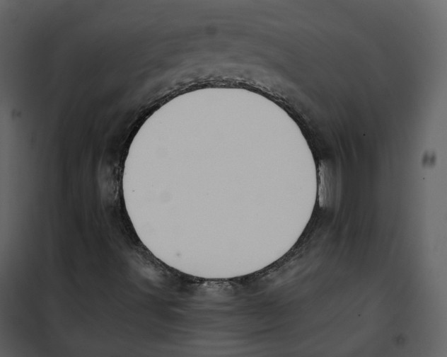 X0000100751491200807171358