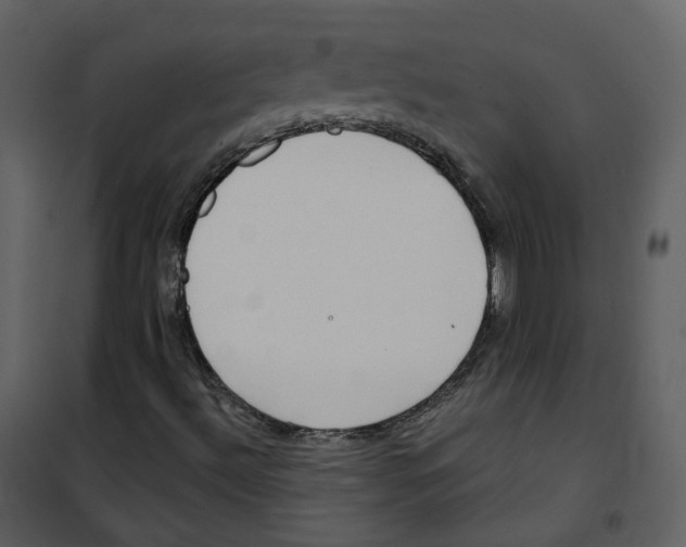 X0000100751492200807171358