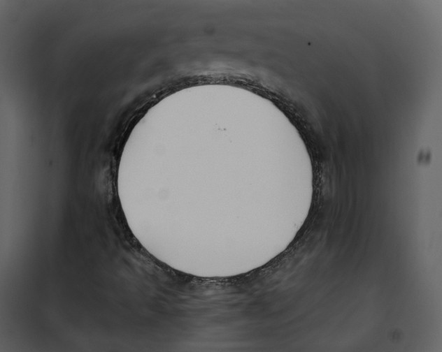 X0000100751493200807171359