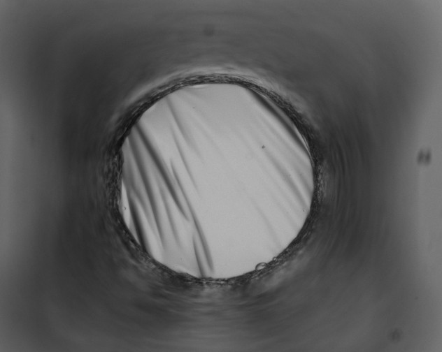 X0000100751494200807171359