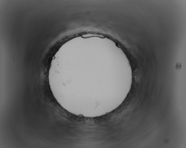 X0000100751495200807171359