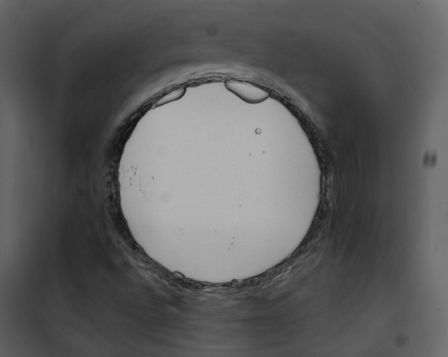 X0000100751496200807171359