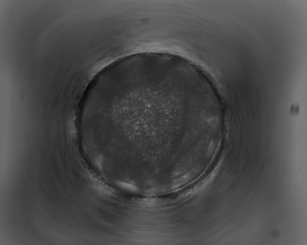 X0000100751497200807171359