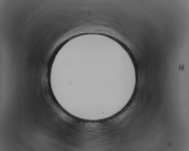 X0000100751498200807171359