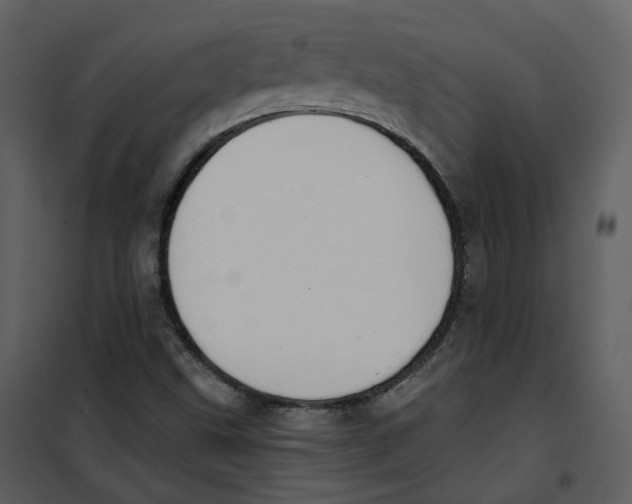 X0000100751499200807171359