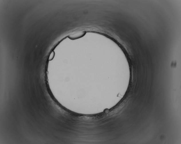 X0000100751500200807171359