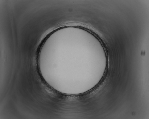 X0000100751501200807171359