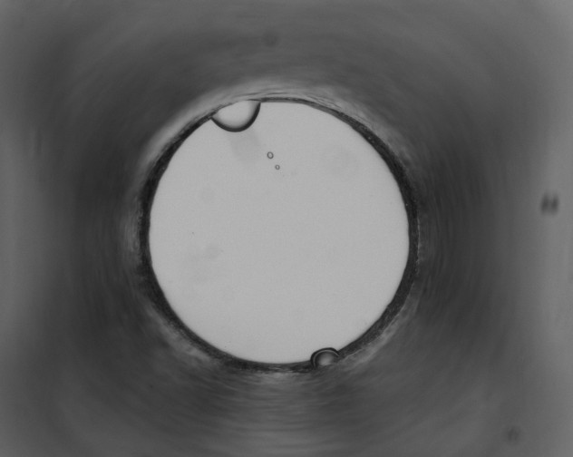 X0000100751502200807171359