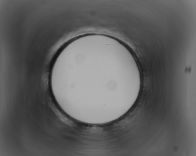 X0000100751503200807171359