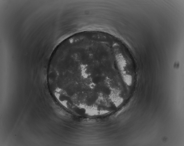 X0000100751505200807171359