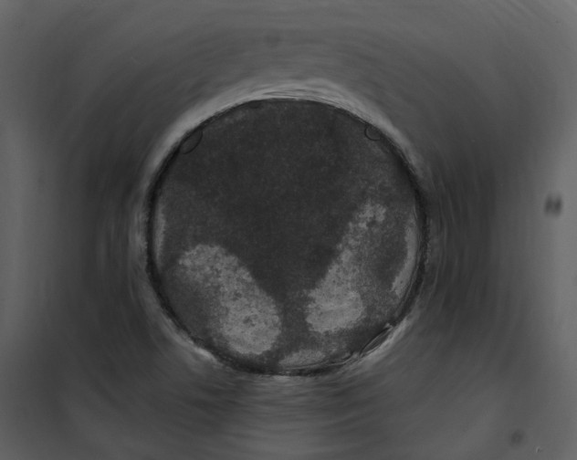 X0000100751506200807171359