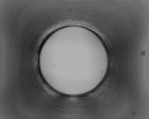 X0000100751507200807171359