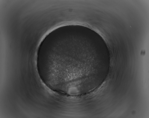 X0000100751508200807171359