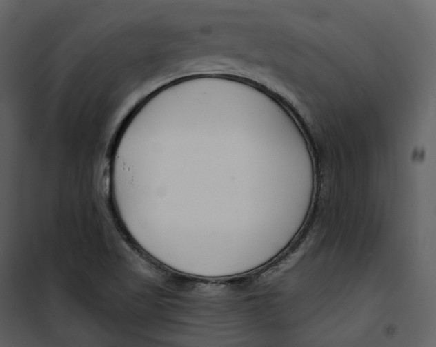 X0000100751509200807171359