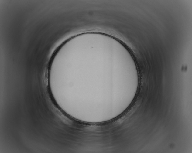 X0000100751510200807171359