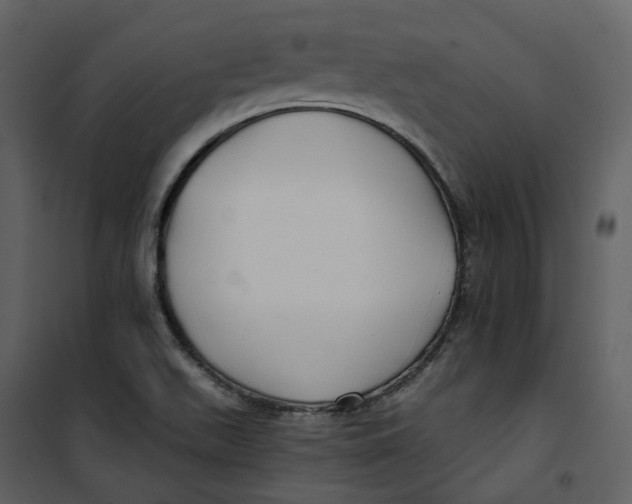 X0000100751511200807171359