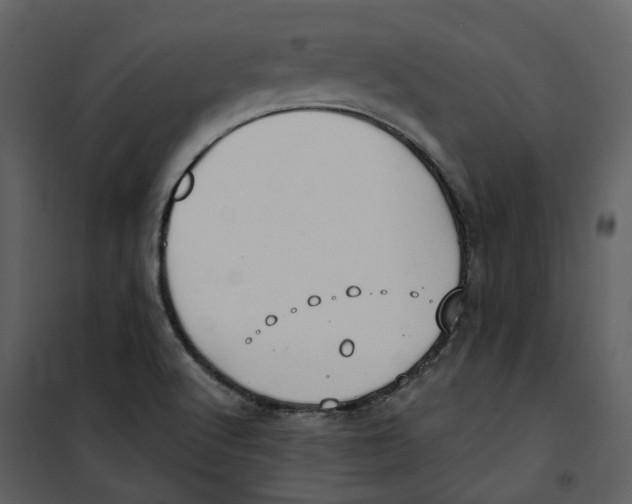 X0000100751512200807171359