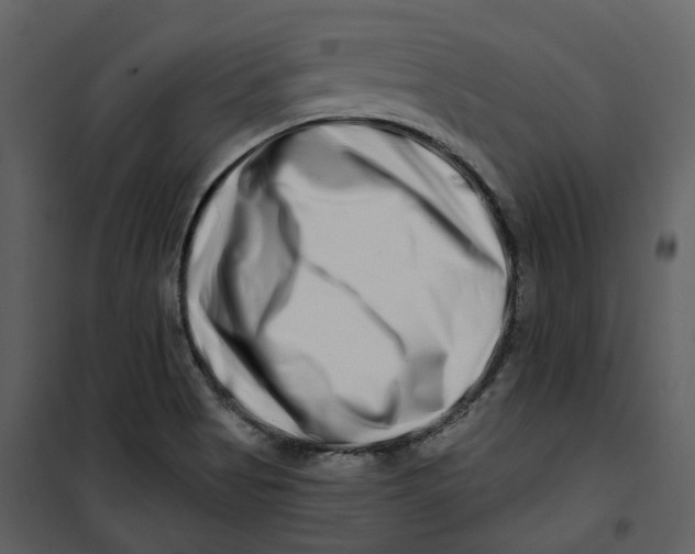 X0000100751513200807171359