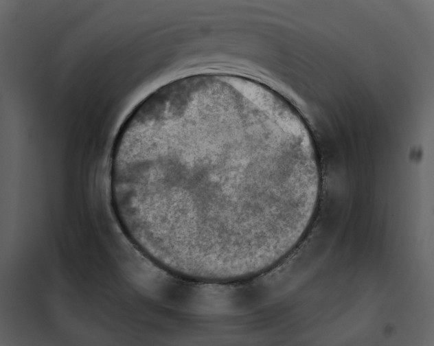 X0000100751514200807171359