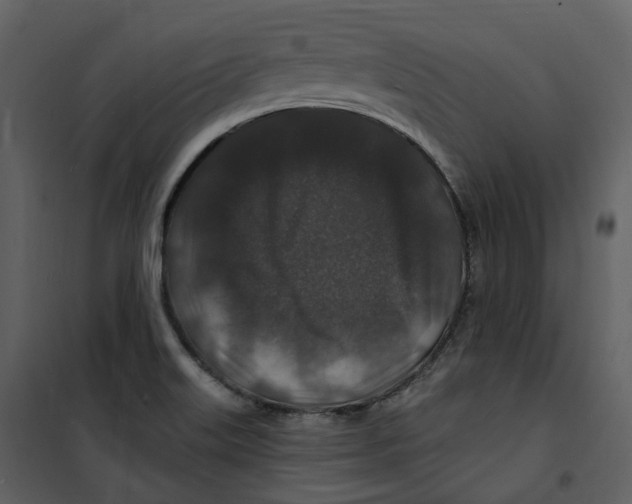 X0000100751515200807171359