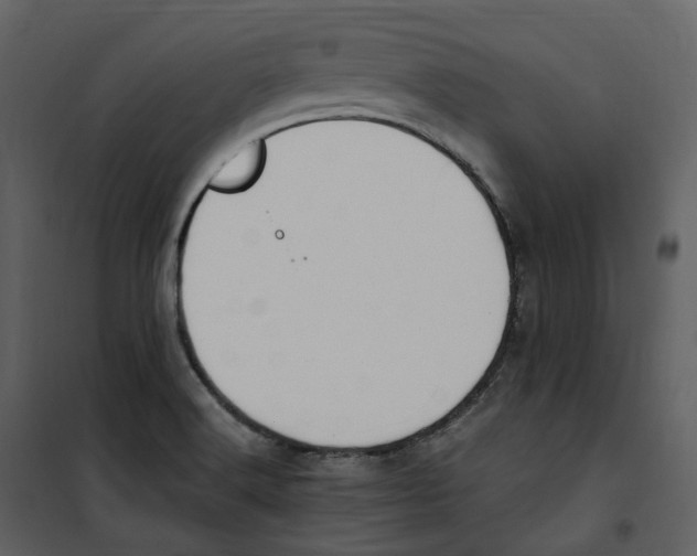 X0000100751516200807171359