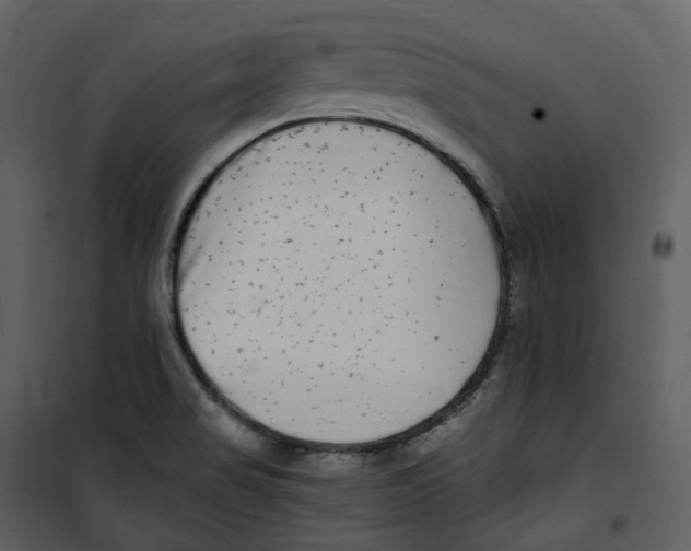 X0000100751517200807171359