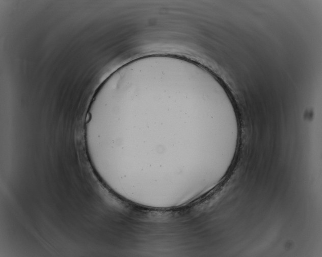 X0000100751521200807171359