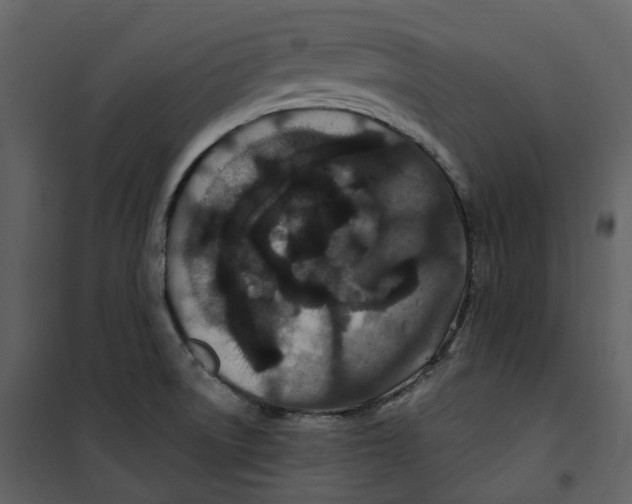 X0000100751522200807171359