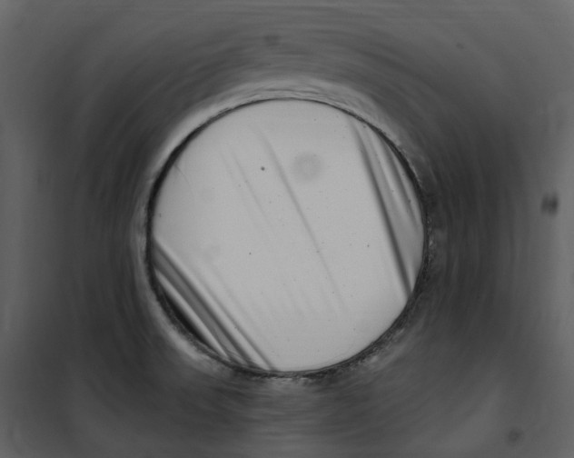 X0000100751523200807171359