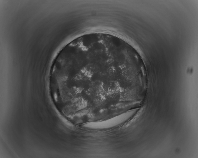 X0000100751525200807171359