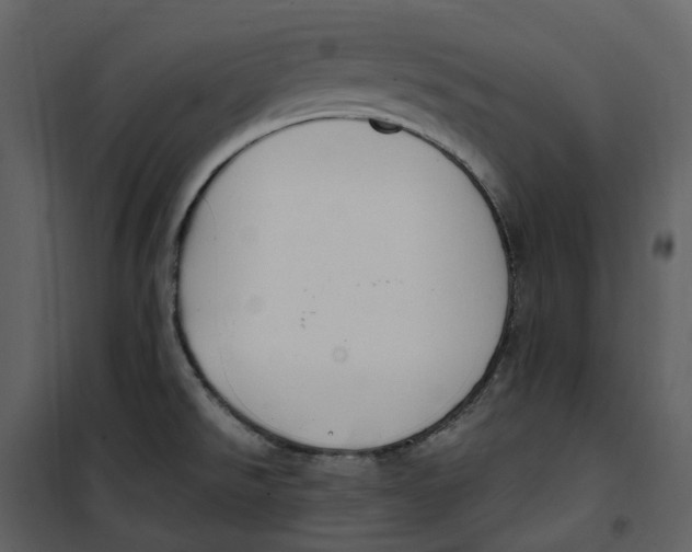 X0000100751526200807171359