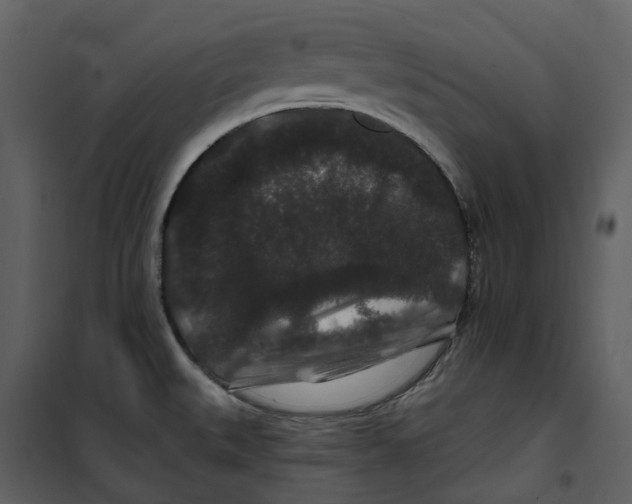 X0000100751527200807171359