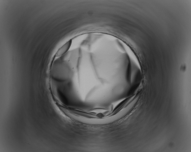 X0000100751528200807171359