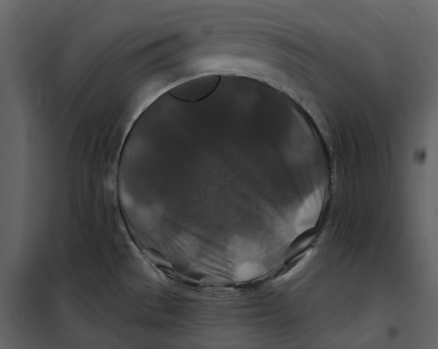 X0000100751529200807171359