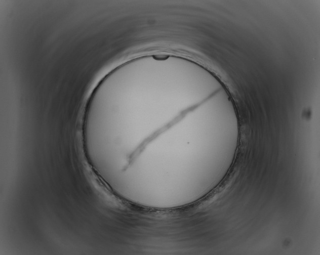 X0000100751530200807171359