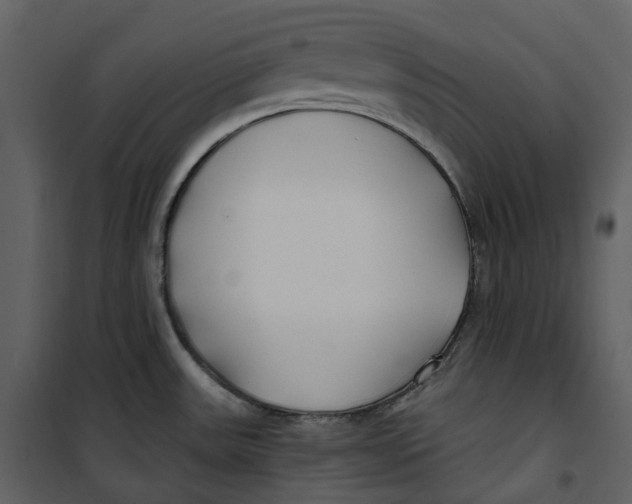 X0000100751531200807171359