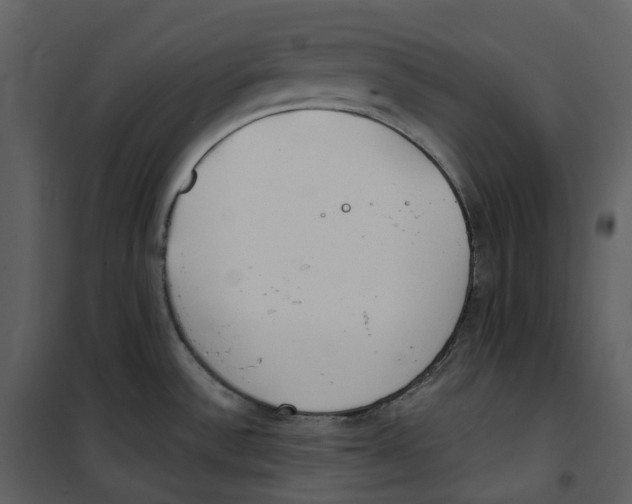 X0000100751532200807171359