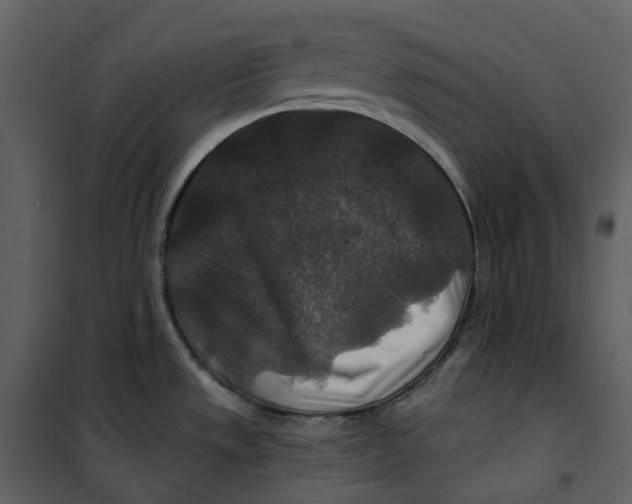 X0000100751533200807171359