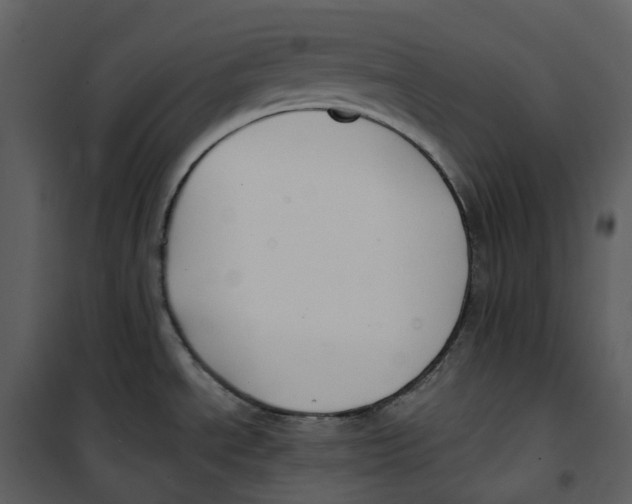 X0000100751534200807171359